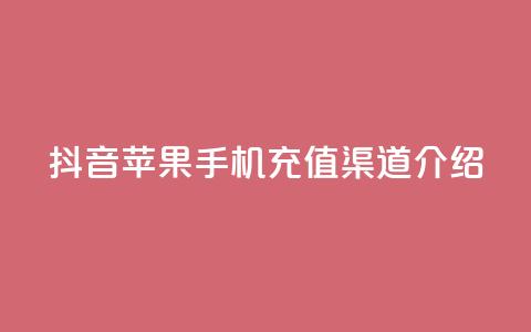 抖音苹果手机充值渠道介绍 第1张 抖音苹果手机充值渠道介绍 第1张