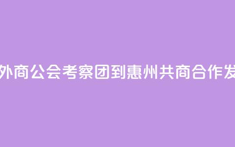 香港广东外商公会考察团到惠州共商合作发展 第1张 香港广东外商公会考察团到惠州共商合作发展 第1张