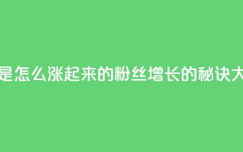 粉丝是怎么涨起来的(粉丝增长的秘诀大揭密) 第1张 粉丝是怎么涨起来的(粉丝增长的秘诀大揭密) 第1张