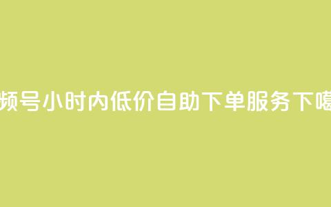视频号24小时内低价自助下单服务 第1张 视频号24小时内低价自助下单服务 第1张