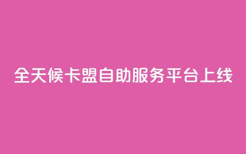 全天候卡盟自助服务平台上线 第1张 全天候卡盟自助服务平台上线 第1张