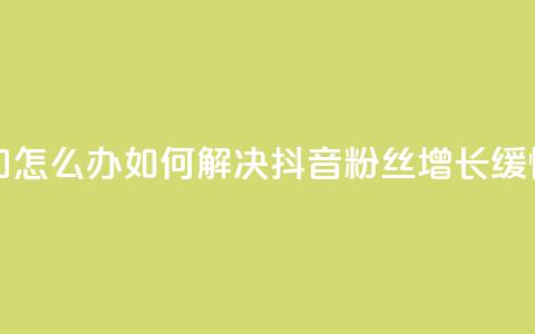 抖音粉丝不增加怎么办 - 如何解决抖音粉丝增长缓慢的问题! 第1张 抖音粉丝不增加怎么办 - 如何解决抖音粉丝增长缓慢的问题! 第1张