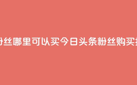 今日头条粉丝哪里可以买 - 今日头条粉丝购买指南! 第1张 今日头条粉丝哪里可以买 - 今日头条粉丝购买指南! 第1张