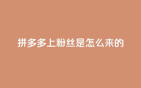 拼多多上粉丝是怎么来的 - 免费快手播放量平台 第1张 拼多多上粉丝是怎么来的 - 免费快手播放量平台 第1张