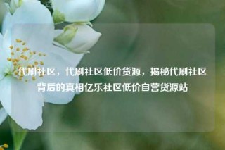 代刷社区，代刷社区低价货源，揭秘代刷社区背后的真相亿乐社区低价自营货源站