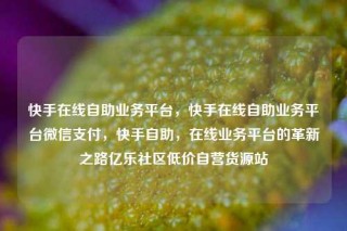 快手在线自助业务平台，快手在线自助业务平台微信支付，快手自助，在线业务平台的革新之路亿乐社区低价自营货源站