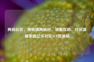 两碗社区，两碗镇两碗村，邻里互助，共筑温馨家园亿乐社区SUP货源站