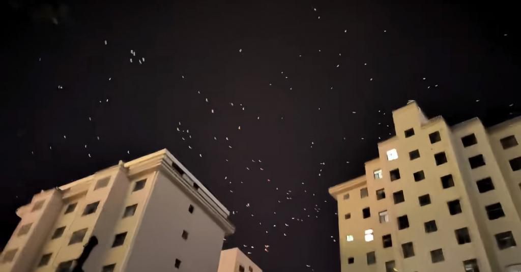 甘肃一地现大量飞鸟在天空盘旋	，有网友担心为地震前兆，地震局：鸟类聚集并非特别异常  第1张