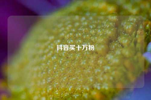 抖音买十万粉  第1张