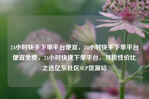 24小时快手下单平台便宜，24小时快手下单平台便宜免费	，24小时快速下单平台，寻找性价比之选亿乐社区SUP货源站  第1张