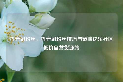 抖音刷粉丝，抖音刷粉丝技巧与策略亿乐社区低价自营货源站  第1张