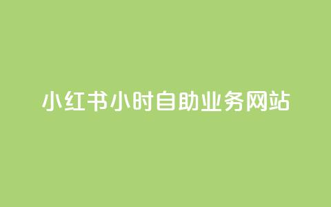 小红书24小时自助业务网站 - 小红书24小时便捷自助服务站!  第1张