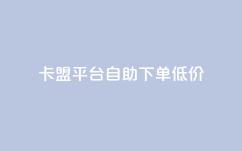 卡盟平台自助下单低价 - 自助下单低价卡盟平台助你轻松购卡! 第1张 卡盟平台自助下单低价 - 自助下单低价卡盟平台助你轻松购卡! 第1张