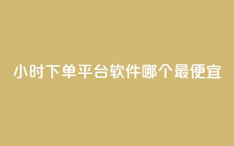 24小时下单平台软件哪个最便宜,抖音点赞充值秒到账二十个 - 卡盟超低价 一元一万抖音粉丝  第1张