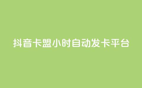 抖音卡盟24小时自动发卡平台,颜夕卡盟 - 全网辅助货源站 快手点赞评论软件微信支付  第1张