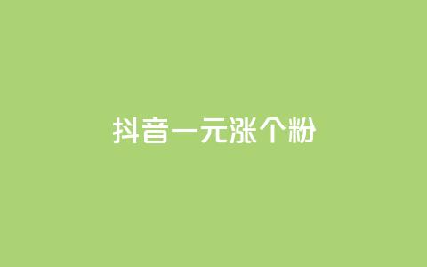 抖音一元涨1个粉,快手抖音点赞员接单软件 - 抖音粉丝渠道 QQ空间刷访客量的网站  第1张