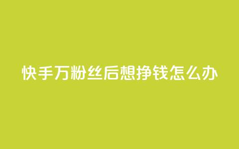 快手1万粉丝后想挣钱怎么办 - 如何在快手1万粉丝后实现收益？。  第1张