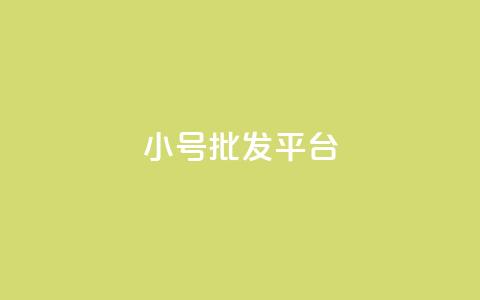dy小号批发平台 - Dy小号批发平台优势解析与选购指南。  第1张