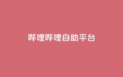 哔哩哔哩自助平台,快手业务粉丝永不掉粉 - qq空间点赞服务最低价 QQ免费开SVIP的软件  第1张