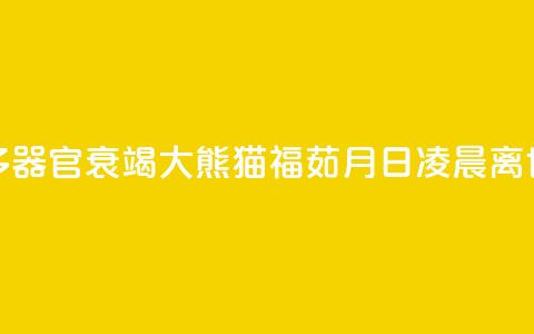 多器官衰竭 大熊猫“福茹”8月16日凌晨离世  第1张