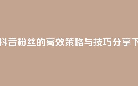 提升抖音粉丝的高效策略与技巧分享 第1张 提升抖音粉丝的高效策略与技巧分享 第1张
