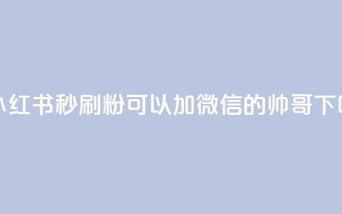 1元小红书秒刷1000粉 - 可以加微信的帅哥 第1张 1元小红书秒刷1000粉 - 可以加微信的帅哥 第1张