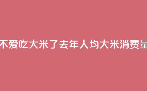 韩国人不爱吃大米了?去年人均大米消费量创新低 第1张 韩国人不爱吃大米了?去年人均大米消费量创新低 第1张