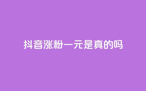 抖音涨粉一元是真的吗 - 抖音涨粉一元是否靠谱?有哪些值得注意的地方~ 第1张 抖音涨粉一元是真的吗 - 抖音涨粉一元是否靠谱?有哪些值得注意的地方~ 第1张