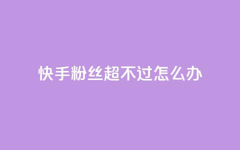 快手粉丝超不过1980怎么办,斗音刷讚在线24小时 - 拼多多扫码助力网站 拼多多服务协议v3.1  第1张