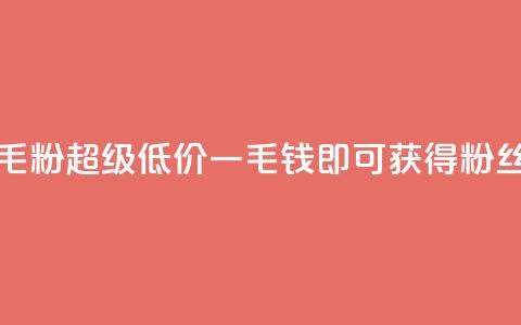 低价Ks一毛1000粉(超级低价，一毛钱即可获得1000粉丝)  第1张