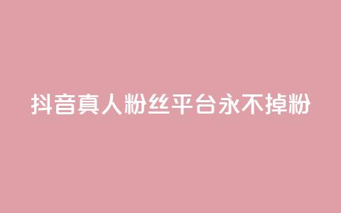 抖音真人粉丝平台 永不掉粉 - 增加社交影响力，稳定粉丝数量营销平台~  第1张