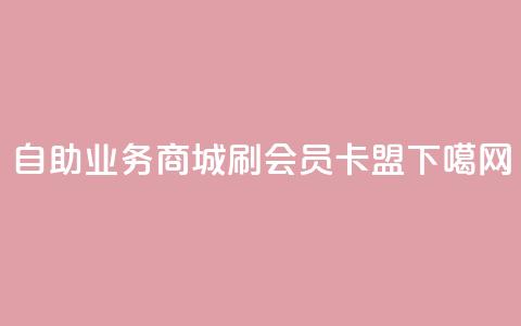 自助业务商城 - 刷vip会员卡盟  第1张
