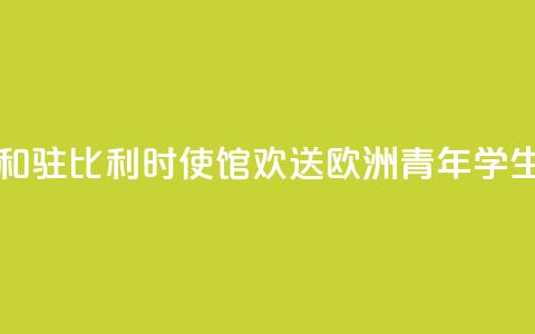 中国驻欧盟使团和驻比利时使馆“欢送”欧洲青年学生赴华留学  第1张
