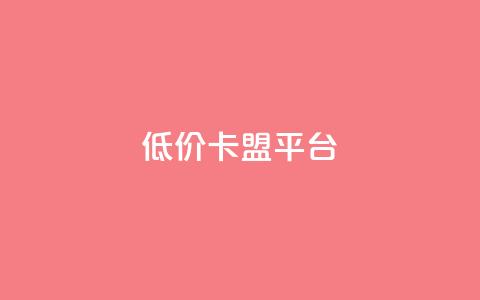 低价卡盟平台 - 获取优惠：经济实惠的卡盟平台！  第1张