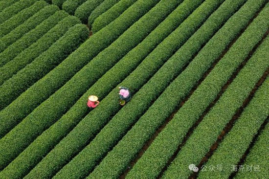 新茶饮还能卷什么？  第2张