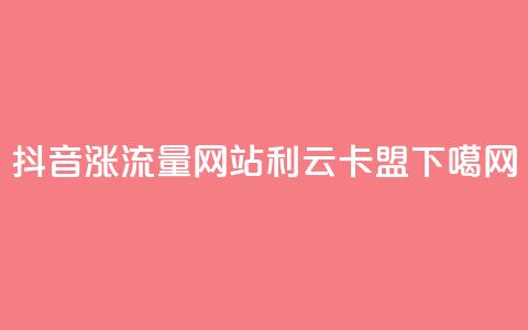 抖音涨流量网站 - 利云卡盟 第1张 抖音涨流量网站 - 利云卡盟 第1张