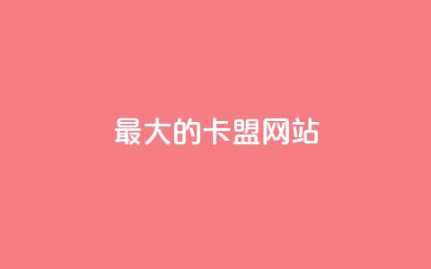 最大的卡盟网站,拼多多自动下单5毛脚本下载 - 拼多多助力神器 接码软件刷拼多多  第1张