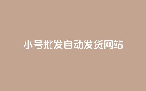 dy小号批发自动发货网站,ks小号发卡平台 - ks业务自助下单软件最低价 卡盟交易平台  第1张