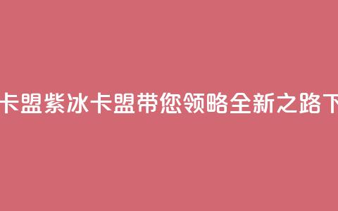 紫冰卡盟 - 紫冰卡盟带您领略全新SEO之路! 第1张 紫冰卡盟 - 紫冰卡盟带您领略全新SEO之路! 第1张