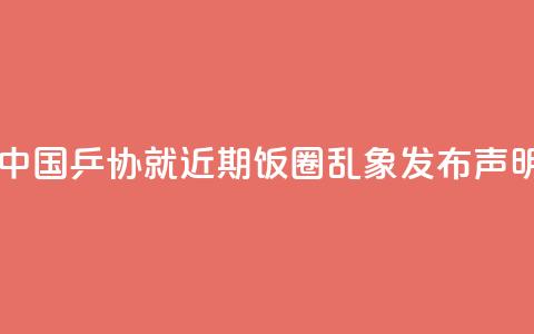 中国乒协就近期“饭圈”乱象发布声明  第1张