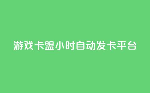 游戏卡盟24小时自动发卡平台 - 24小时自动发卡，畅享游戏乐趣。  第1张