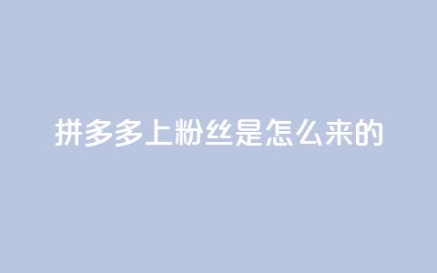 拼多多上粉丝是怎么来的 - 免费快手播放量平台 第1张 拼多多上粉丝是怎么来的 - 免费快手播放量平台 第1张