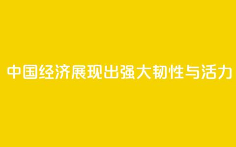 “中国经济展现出强大韧性与活力”  第1张
