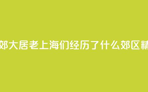 生活在市郊大居，“老上海”们经历了什么？_郊区精细化治理③  第1张