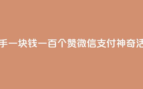 快手一块钱一百个赞微信支付神奇活动  第1张