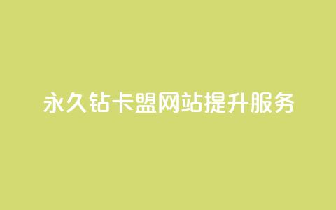 永久钻卡盟网站提升服务 第1张 永久钻卡盟网站提升服务 第1张