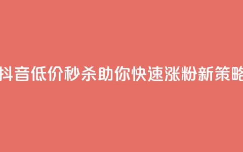 抖音低价秒杀，助你快速涨粉新策略！  第1张