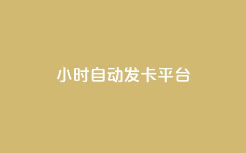 24小时自动发卡平台 - 全天候自动发卡系统助您轻松管理订单!  第1张