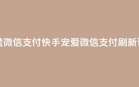 快手一秒5000赞微信支付 - 快手宠爱，微信支付刷新记录！!  第1张