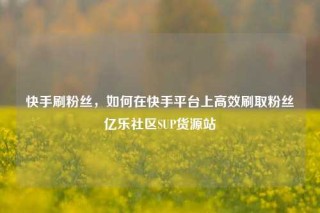 快手刷粉丝，如何在快手平台上高效刷取粉丝亿乐社区SUP货源站